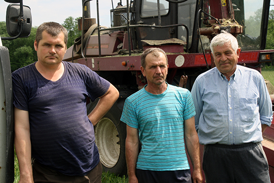 Нарыхтоўвае сілас механізатар Мікалай Савурын (у цэнтры), адвозяць зялёнку вадзіцелі Валерый Картыннік і Мікалай Кастыронак